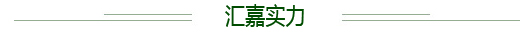 匯嘉實力
